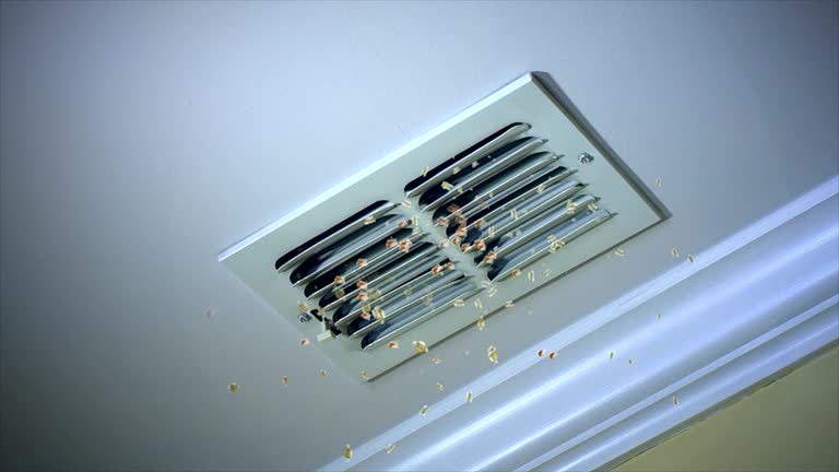 Best Air Duct Sanitizing Services  in Lodi, NJ