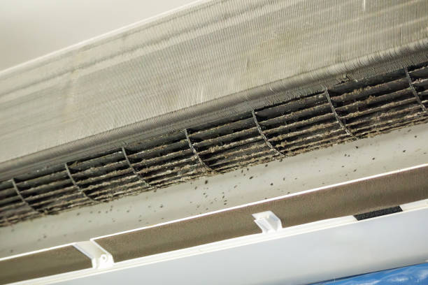 Best HVAC System Cleaning  in Lodi, NJ
